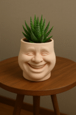 Cheeks Plant Pot – Custom Corporate Gift for Office & Events