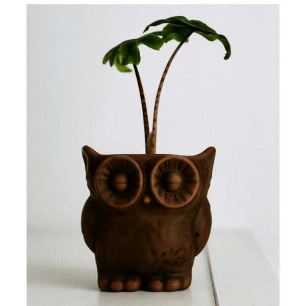 Cute Owl Plant Pot – Desk Decor & Indoor Office Gift