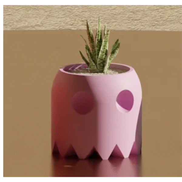 Pot Plant Gift for Office Desk | Indoor Table Decor for Companies