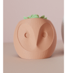 Cute Owl Planter | Plant Pot for Office Desk, Table Décor & Green Gifts