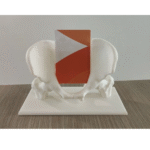 Pelvis Business Card Holder for Desk | Unique Office Gift for Professionals