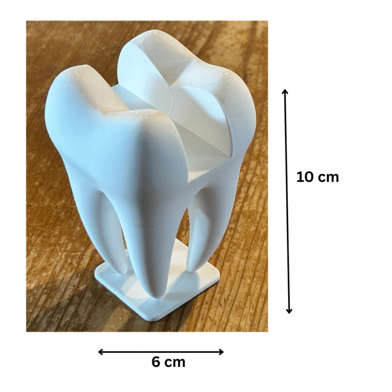 Custom Tooth Business Card Holder for Dentists | Unique Dental Corporate Gift Idea India - Image 2
