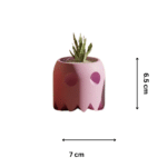 Pot Plant Gift for Office Desk | Indoor Table Decor for Companies - Image 2