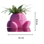 Kirby Pot Plant Gift for Office Desk, Indoor Table Decor, Employee and Client Gift - Image 2