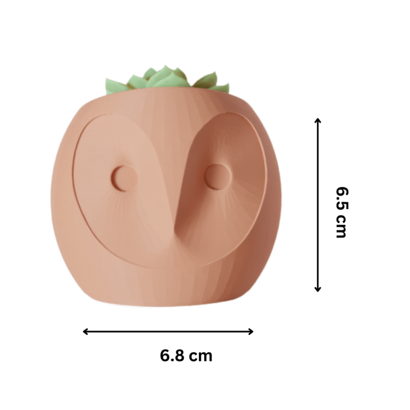 Cute Owl Planter | Plant Pot for Office Desk, Table Décor & Green Gifts - Image 2