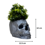 Skull Planter Pot – Unique Home Décor Gift for Office & Corporate Clients - Image 2