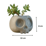 Gothic Skull Succulent Planter – Unique Home Décor Gift for Office Desk & Corporate Gifting - Image 2