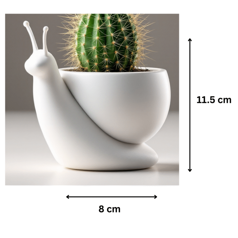 Cute Snail Planter | Mini Decorative Pot & Desk Vase | Creative Home & Office Décor Gift | Indoor Tabletop Plant Holder - Image 2