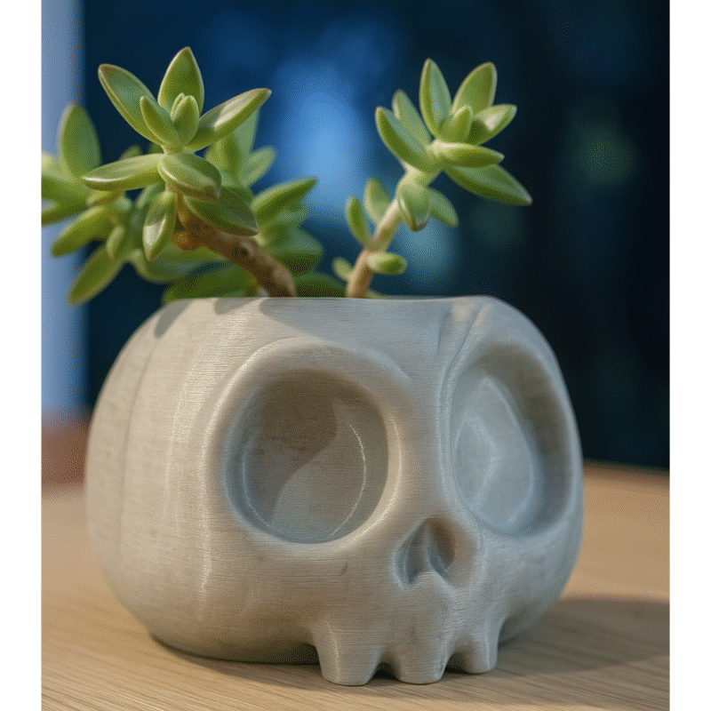 Gothic Skull Succulent Planter – Unique Home Décor Gift for Office Desk & Corporate Gifting - Image 3