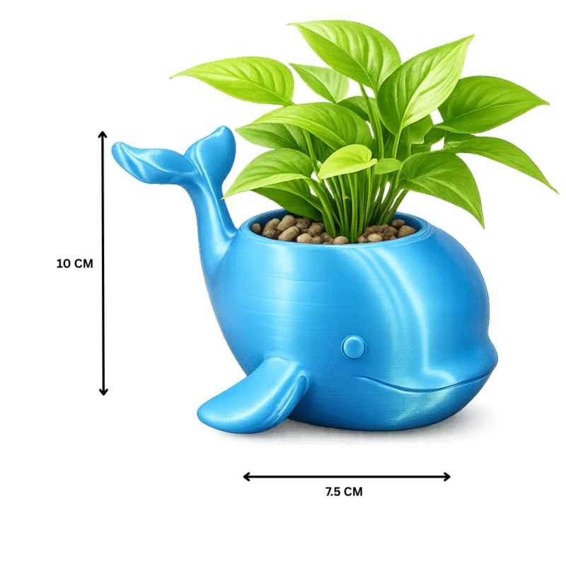 Whale Planter for Desk & Home | Cute Ocean-Inspired Planter Pot | Unique Decor & Corporate Gift Idea - Image 2