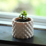 Modern Succulent Pot, 3D Printed Desk Decor, Birthday Gift, Corporate Gift, Employee Gift, Valentine Day Gift, Tabletop Planter for Office, Return Gift, Home Decor Pot, Indoor Plant Pot