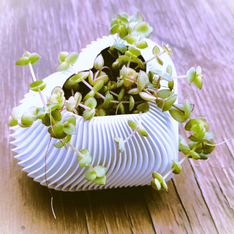 Vase of the Heart, Home Decor Gift, Family Gift, Gift for Mother, Gift for Wife, Gift for Sister, Anniversary Gift, Birthday Gift, Housewarming Gift, Love Decor, Romantic Table Decor, 3D Printed Vase - Image 3