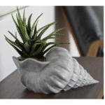 Premium Shell Flower Pot – Elegant 3D Printed Desk Decor | Corporate Gifts, Office Tabletop Planter, Home & Workspace Decoration