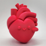 Anatomical Happy Heart Gift for Office, Home, Hospital, Clinic, Corporate Gifting, Medical Industry, Doctors, Nurses, Valentine Day, Desk Decor, Appreciation Gift, Employee Gift, Wellness Center