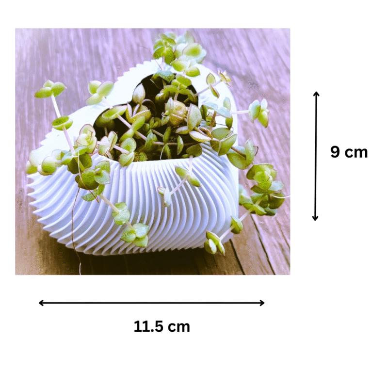 Vase of the Heart, Home Decor Gift, Family Gift, Gift for Mother, Gift for Wife, Gift for Sister, Anniversary Gift, Birthday Gift, Housewarming Gift, Love Decor, Romantic Table Decor, 3D Printed Vase - Image 2