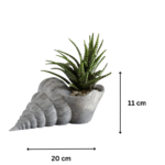 Premium Shell Flower Pot – Elegant 3D Printed Desk Decor | Corporate Gifts, Office Tabletop Planter, Home & Workspace Decoration - Image 2