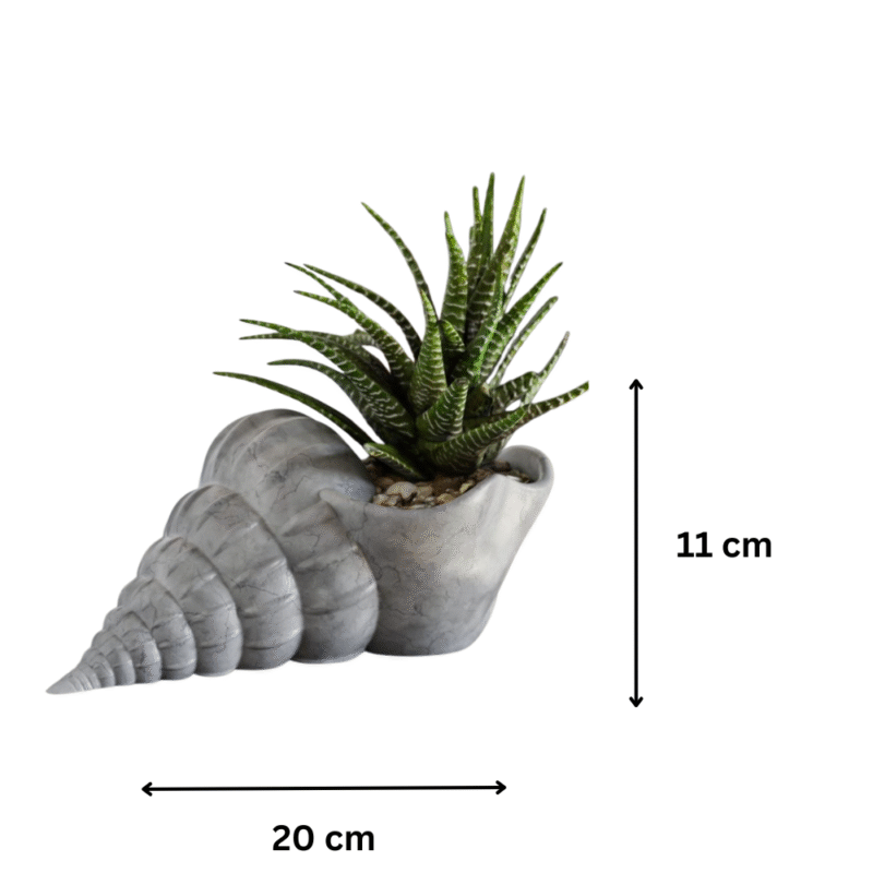 Premium Shell Flower Pot – Elegant 3D Printed Desk Decor | Corporate Gifts, Office Tabletop Planter, Home & Workspace Decoration - Image 2