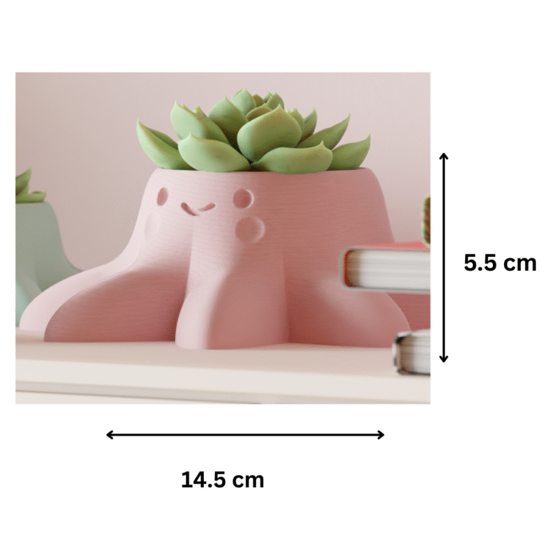 Kawaii Octopus Planter – Cute Desk Succulent Pot | Premium Corporate Gift, Office Table Decor, Home & Workspace Decoration - Image 2