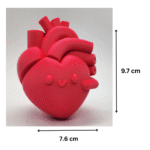 Anatomical Happy Heart Gift for Office, Home, Hospital, Clinic, Corporate Gifting, Medical Industry, Doctors, Nurses, Valentine Day, Desk Decor, Appreciation Gift, Employee Gift, Wellness Center - Image 2