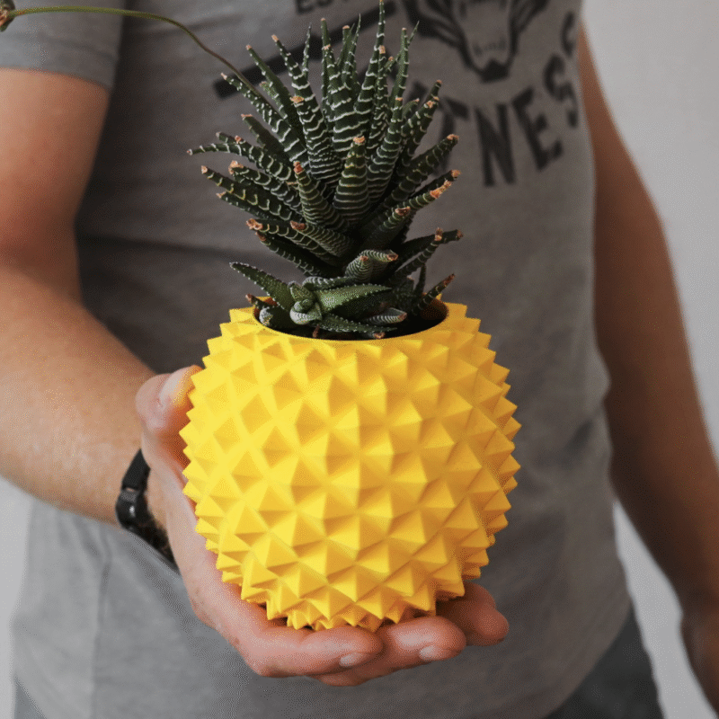 Pineapple Planter Pot / Vase for Office, Study Room, Home Decor, Library, Corporate Gifts, Personal Gifting & All Occasions - Image 3