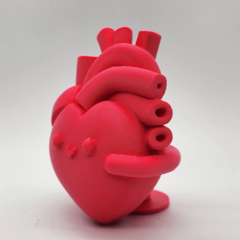 Anatomical Happy Heart Gift for Office, Home, Hospital, Clinic, Corporate Gifting, Medical Industry, Doctors, Nurses, Valentine Day, Desk Decor, Appreciation Gift, Employee Gift, Wellness Center - Image 3