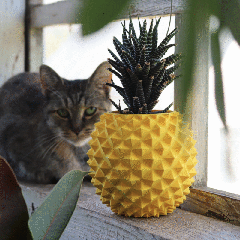 Pineapple Planter Pot / Vase for Office, Study Room, Home Decor, Library, Corporate Gifts, Personal Gifting & All Occasions - Image 4