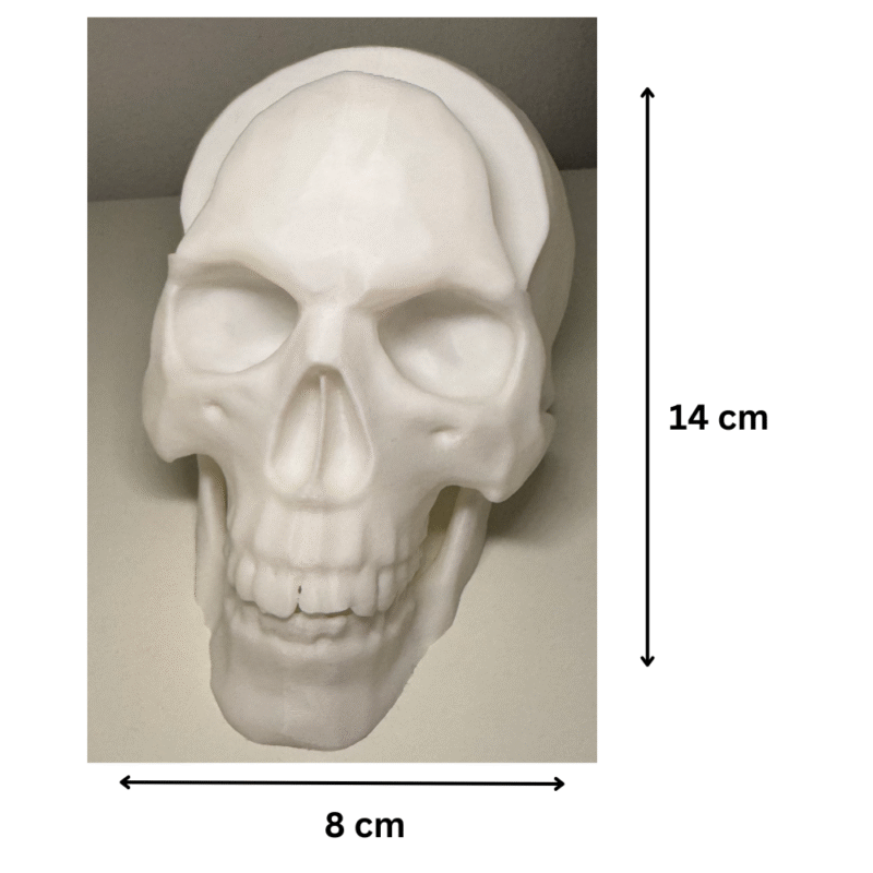 Skull Glasses Holder, Sunglasses Stand, Spectacle Organizer, Desk Decor, Office Table Accessory, Home Decor Gift, Studio Decor, Optical Shop Display, 3D Printed Skull Stand - Image 2