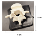 Vertibrae 3D Printed Business Card Holder, Office Desk Organizer, Corporate Gifting, Startup Merchandise, Reception Desk Accessory, Trade Show Giveaway, Professional Workspace Decor - Image 2