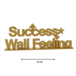 Success Wali Feeling