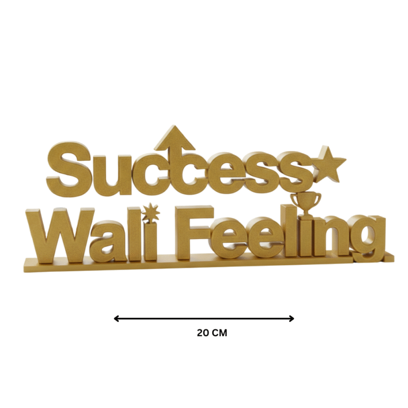 Success Wali Feeling