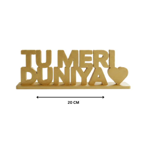 Tu Meri Duniya