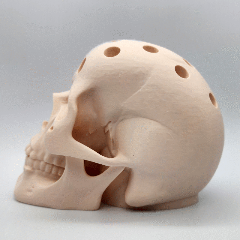 Human Skull Pen Holder, 3D Printed Desk Organizer, Office Stationery Stand, Study Table Decor, Creative Gift for Doctors, Engineers, Designers, Students, Halloween Decor, Medical Office Accessory, Home Office Desk Decor - Image 3