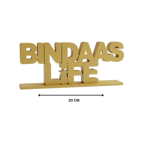 Bindaas Life