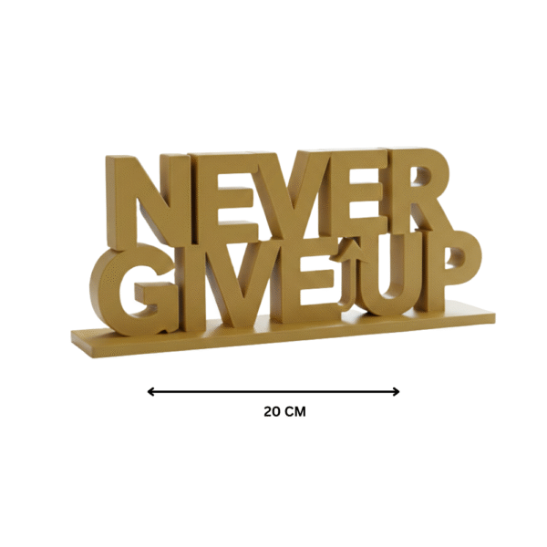 Never Giveup