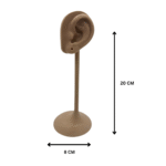 ear mannequin for jewelry