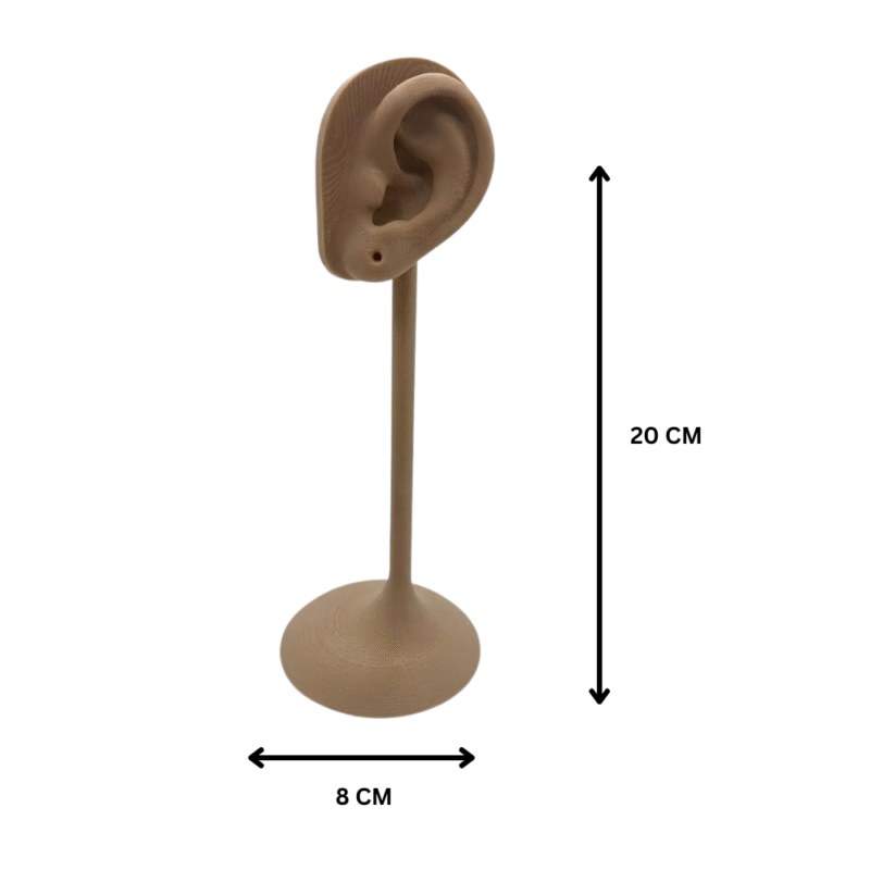 ear mannequin for jewelry