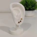 Earring display/holder stand