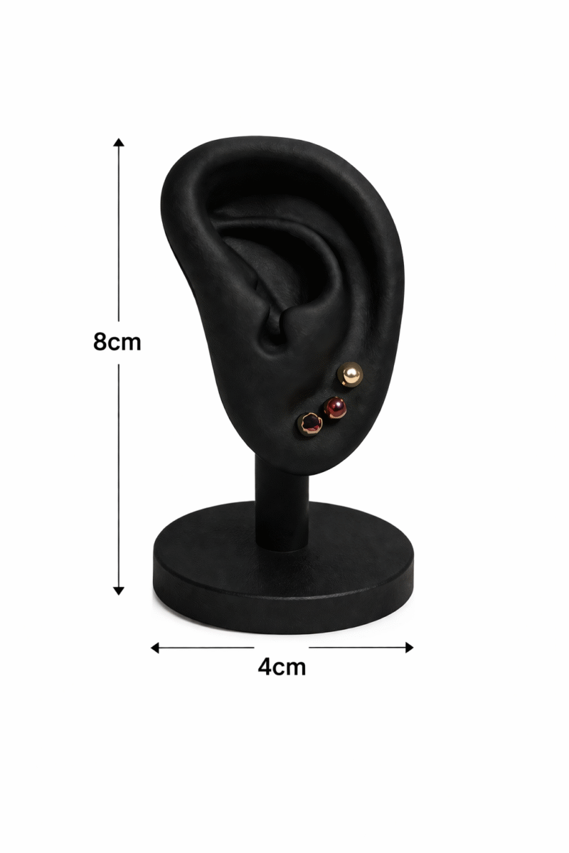 Earring display/holder stand