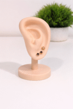 Earring display/holder stand