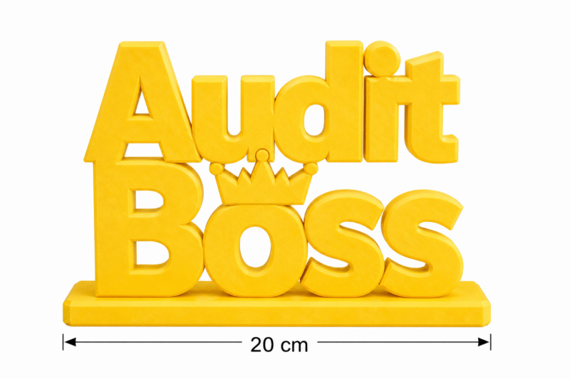 Audit Boss 3D Printed Office Desk Sign - Image 2