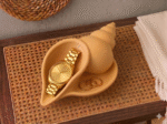 Coastal Seashell Entryway Jewelry Tray Holder
