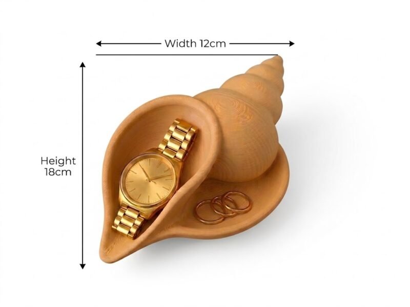 Shell Jewelry Tray Organizer White Decorative Trinket Dish Watch Holder Ring Storage Dish for Dressing Table Home Decor Gift - Image 2