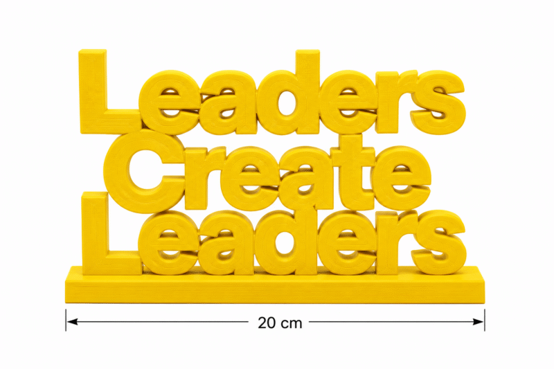 Leaders Create Leaders 3D Printed Desk Sign | Professional Mentorship Decor