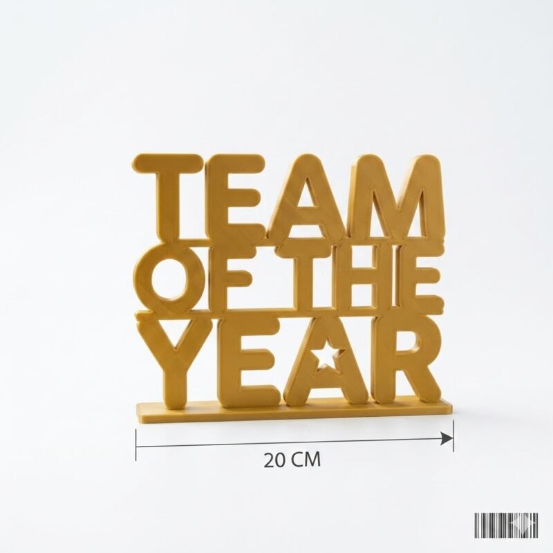 Team Of The Year 3D Printed Award Sign for Office & Corporate Gifts - Image 2